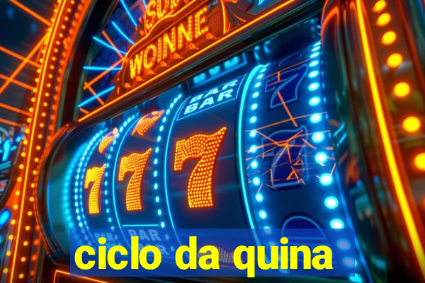 ciclo da quina